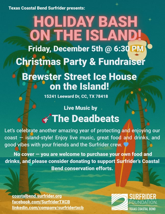 HOLIDAY BASH ON THE ISLAND! (3)