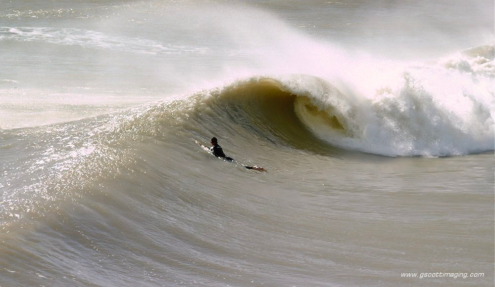 Surfer paddling out at Bob Hall Pier